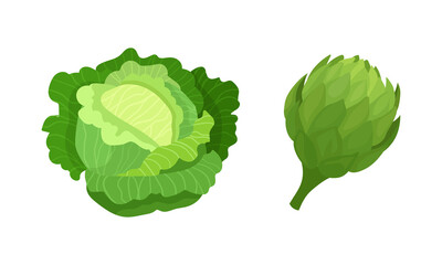 Fresh organic vegetables set. Cabbage and artichoke healthy vegetarian food vector illustration
