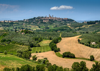 Fototapeta na wymiar The medieval towers of San Gimignano