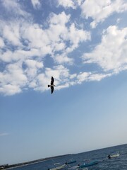 Fototapeta na wymiar silhouette of a person jumping on the beach
