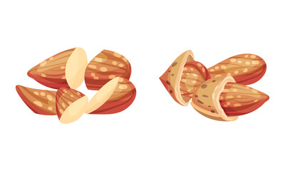 Almond kernels in nutshell set vector illustration on white background