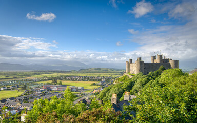 A view of Harlech Castle - obrazy, fototapety, plakaty