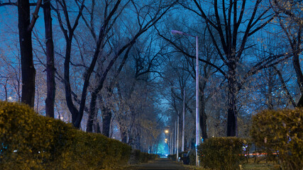 Almaty city night streets and parks on winter 2021