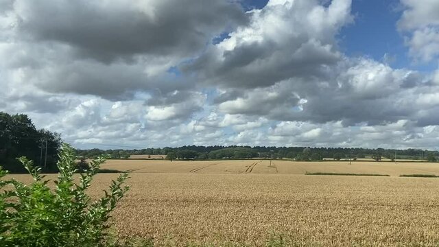 Wide shot out of a window of train, tracking along flat British UK southern England countryside and farmland clouds and blue sky - stock footage video