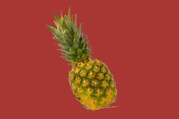 Pineapple fruit isolated on pastel background. Creative layout made of pineapple. Flying food. Food concept