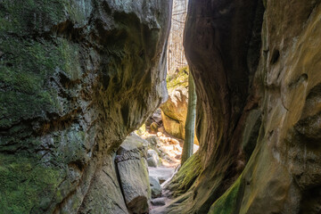 Split stone rock, inside view. Ternoshorskaya Lada. Dovbush Rocks. Carpathians, Kosiv district, Ivano-Frankivsk region, Ukraine