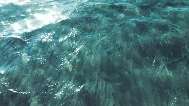 Sea sandy bottom with sun glare. This is what the sea looks like when you go into the water for swimming