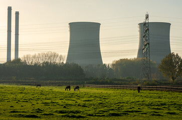 Cooling towers of power plant in Maasbracht, Province Limburg, with horses in the foreground