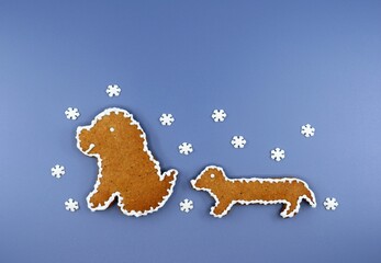 Two cute gingerbread dogs decorated with white icing, small sugar snowflakes around. Winter time. Blue background, copy space