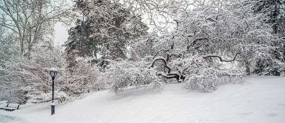 Central Park in winter , snow storm