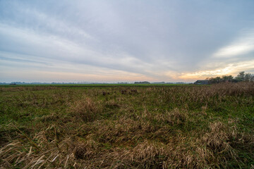 Autumn landscape of nature reserve Polder Groot-Mijdrecht
