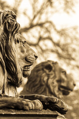 historic lion statue at the lake starnberg