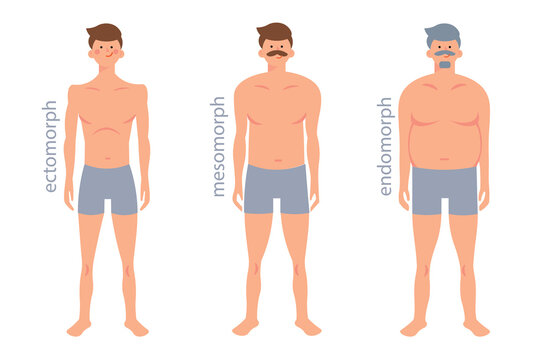Somatic types, shapes of human body: ectomorph, mesomorph, endomorph.  Male figure types set. Illustration.