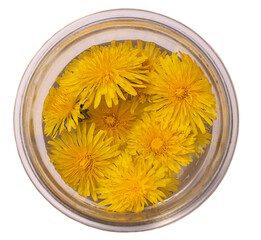 Yellow dandelions in the jar. Isolated. Flat lay