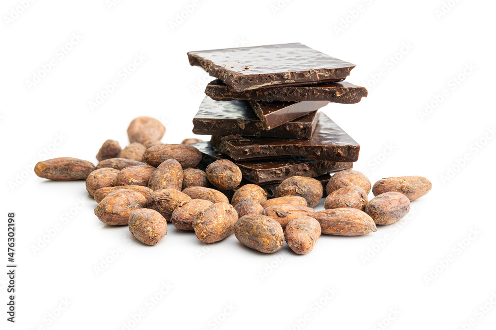 Wall mural dried cocoa beans and dark chocolate bar