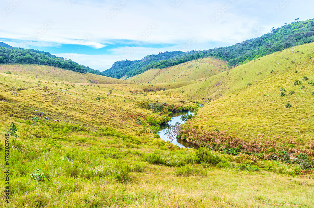 Wall mural Horton Plains National reserve boasts large wild territoty with a wide range of endemic plants, Sri Lanka