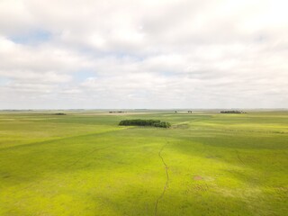 field and blue sky