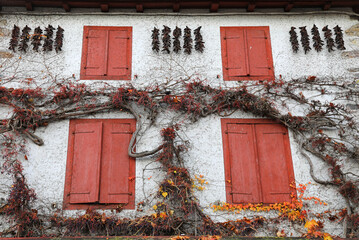 espelette pimientos rojos colgados el la fachada de una casa con ventanas rojas francia país vasco...