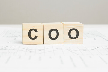 COO wooden blocks word on grey background. COO - Chief Operating Officer, information concepts