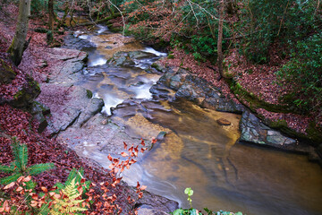 Afon Clwydog after Plas Power falls