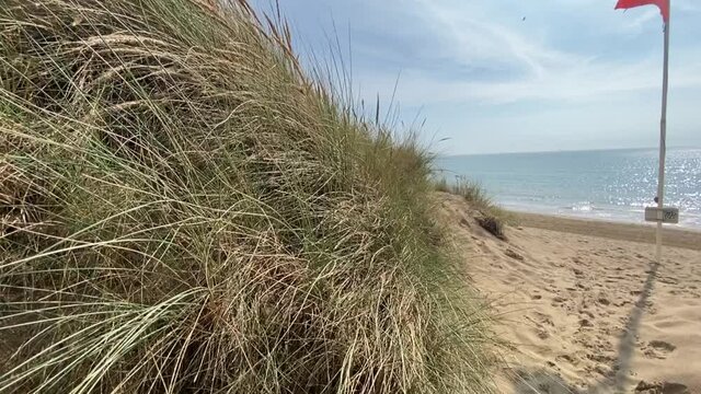 beach at Camber sands East Sussex UK - view of Camber Sand dunes with sky sea and sea grass holding dunes together