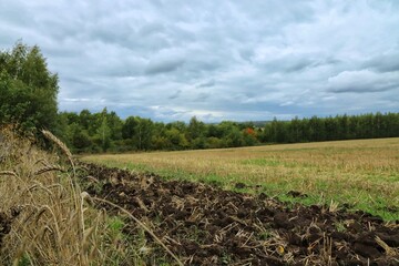 landscape with a field