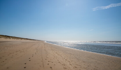 Empty beach on sunny day