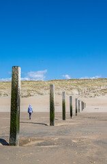 Wooden poles at the beach