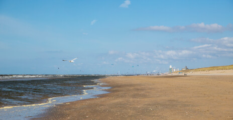 Big beach in the netherlands