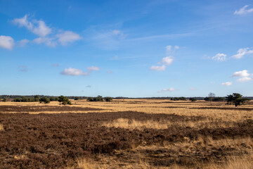 Fototapeta na wymiar Big empty meadow on sunny day