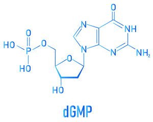 Deoxyguanosine monophosphate or dGMP nucleotide molecule. DNA building block. Skeletal formula.