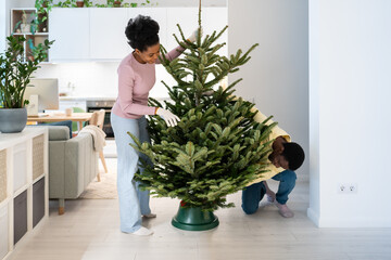 Christmas preparation. Girlfriend and boyfriend work in team installing fresh pine on stand in living room of new apartment or house. Young couple buy natural xmas tree for merry winter holiday season