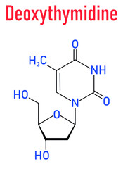 Deoxythymidine or Thymidine nucleoside molecule. DNA building block. Skeletal formula.