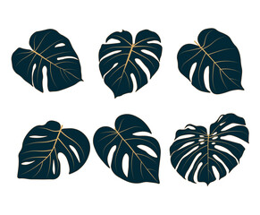 Vector stock illustration of tropical leave. Monstera leave. Watercolor greenery plant. Template for stickers, stencil. Close-up of tropical leaves isolated on a white background. Flat style. © Мария Василенко