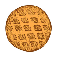 Baked bun. Confectionery bakery product. Wheat flour. Vector isolated illustration hand drawn on white background