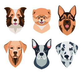 Fototapeta premium Dog different breeds head icons. Cartoon dog faces set. Vector illustration isolated on white. Doggy different breeds heads.