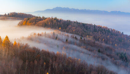 Misty autumn mountains landscape in the morning, Poland, Beskidy mountains and Tatra mountains in the background - obrazy, fototapety, plakaty