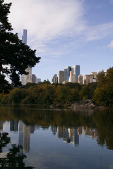 New York City skyline from Central Park