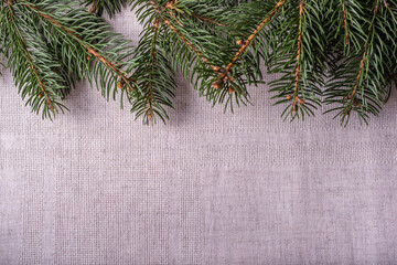 Natural spruce coniferous green branches on a grey linen tablecloth background. Festive decoration of the Christmas table. Top view. Copy space.