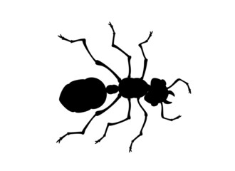 ant vector illustration top view working white background