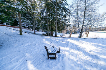 Bolu Golcuk National Park, lake wooden house on a snowy winter day in the forest in Turkey. Frozen lake and forest in national park