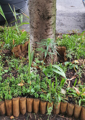 Hanf Stadt Anbau Cannabis Berlin Nutzhanf