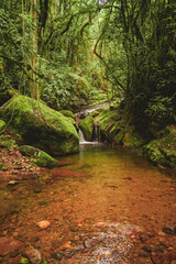 Waterfall in the jungle