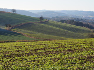 Sankt Wendel – Kreisstadt im Saarland im Herbst Winter