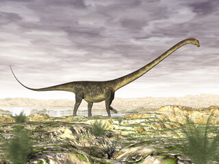 Fototapeta premium Barosaurus dinosaur in the desert - 3D render