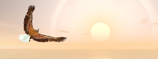 Naklejka na ściany i meble Eagle bird going to the sun - 3D render