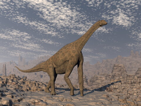 Atlasaurus dinosaur walking in the desert by day - 3D render