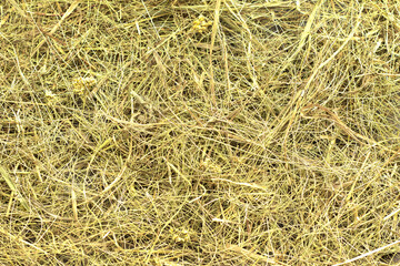 Hay background or texture, dried grass, toned in yellow color