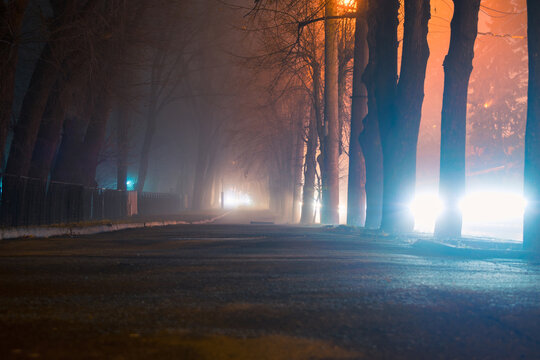 Evening landscape of the city alley. Gloomy sidewalk is there in foggy weather. There is a night road with headlights. Selective focus © Климов Максим