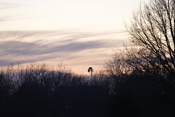 Windmill and Trees in a Sunset
