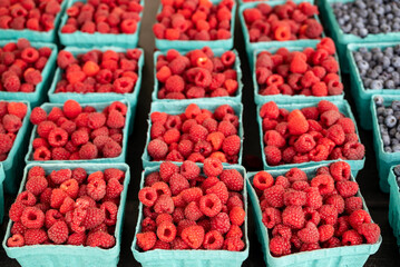 Fresh, farm grown, ripe raspberries are boxed up and lined up for sale on a table at a Farmers...